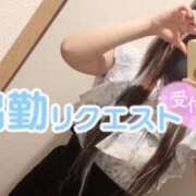 ヒメ日記 2026/04/08 12:48 投稿 かほ One More 奥様　池袋店