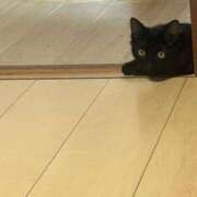 ヒメ日記 2026/08/01 00:18 投稿 かほ One More 奥様　池袋店