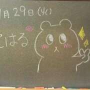 ヒメ日記 2025/07/29 18:13 投稿 こはる☆未経験GALの可能性は∞ 妹系イメージSOAP萌えフードル学園 大宮本校