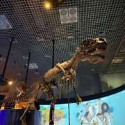 こはる☆未経験GALの可能性は∞ 今日*゜ 妹系イメージSOAP萌えフードル学園 大宮本校