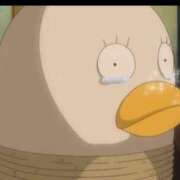 ヒメ日記 2026/02/11 12:30 投稿 こはる☆未経験GALの可能性は∞ 妹系イメージSOAP萌えフードル学園 大宮本校