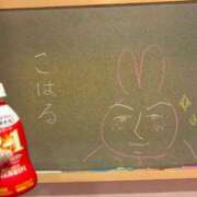 ヒメ日記 2026/04/04 00:15 投稿 こはる☆未経験GALの可能性は∞ 妹系イメージSOAP萌えフードル学園 大宮本校