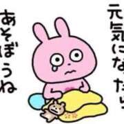ヒメ日記 2026/08/17 11:42 投稿 こはる☆未経験GALの可能性は∞ 妹系イメージSOAP萌えフードル学園 大宮本校