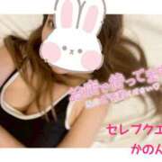 ヒメ日記 2026/01/22 22:22 投稿 かのん セレブクエスト-omiya-