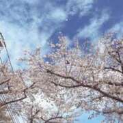 もも 桜🌸 制服これくしょん