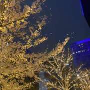 ヒメ日記 2025/04/12 17:19 投稿 みおん 多恋人 新宿店