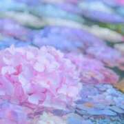 ヒメ日記 2026/02/27 11:51 投稿 しいな モアグループ熊谷人妻花壇