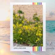 ヒメ日記 2026/03/14 16:11 投稿 しいな モアグループ熊谷人妻花壇