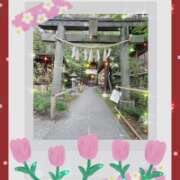 ヒメ日記 2026/03/16 08:11 投稿 しいな モアグループ熊谷人妻花壇