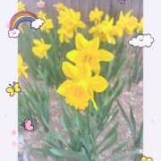 ヒメ日記 2026/03/18 23:31 投稿 しいな モアグループ熊谷人妻花壇