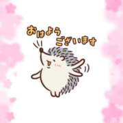 ヒメ日記 2026/03/19 08:02 投稿 しいな モアグループ熊谷人妻花壇