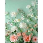 ヒメ日記 2026/03/26 11:56 投稿 しいな モアグループ熊谷人妻花壇