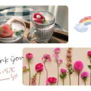 ヒメ日記 2026/04/09 21:24 投稿 しいな モアグループ熊谷人妻花壇