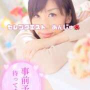 ヒメ日記 2025/03/13 21:55 投稿 あんじゅ セレブクエスト-omiya-