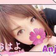 ヒメ日記 2025/03/16 09:05 投稿 あんじゅ セレブクエスト-omiya-