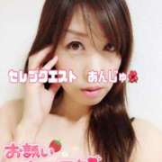 ヒメ日記 2025/04/14 08:05 投稿 あんじゅ セレブクエスト-omiya-