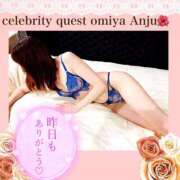 ヒメ日記 2025/05/18 12:11 投稿 あんじゅ セレブクエスト-omiya-