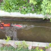 ヒメ日記 2025/06/16 18:34 投稿 あんじゅ セレブクエスト-omiya-