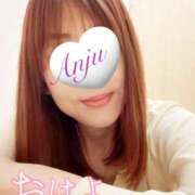 ヒメ日記 2025/06/17 07:31 投稿 あんじゅ セレブクエスト-omiya-