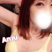 ヒメ日記 2025/11/19 23:38 投稿 あんじゅ セレブクエスト-omiya-