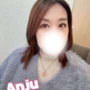 ヒメ日記 2025/12/09 07:53 投稿 あんじゅ セレブクエスト-omiya-