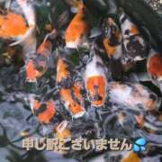 ヒメ日記 2026/10/25 08:43 投稿 つかさ セレブクエスト-omiya-