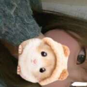 ヒメ日記 2025/03/22 22:08 投稿 のん ちゃんこ東大阪 布施・長田店