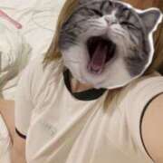 ヒメ日記 2025/03/28 15:06 投稿 のん ちゃんこ東大阪 布施・長田店