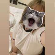 ヒメ日記 2025/03/28 16:37 投稿 のん ちゃんこ東大阪 布施・長田店