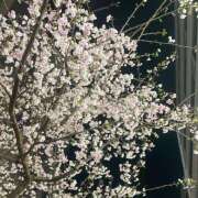 ヒメ日記 2025/03/21 22:04 投稿 ゆの 名古屋性感回春エステ エルミタージュ