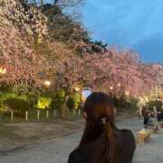 ヒメ日記 2025/04/03 23:44 投稿 ゆの 名古屋性感回春エステ エルミタージュ