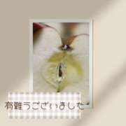 ヒメ日記 2025/11/15 21:40 投稿 のあ 完熟ばなな大宮