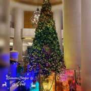 ヒメ日記 2025/12/23 11:33 投稿 のあ 完熟ばなな大宮