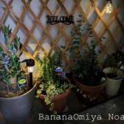 ヒメ日記 2026/01/05 08:43 投稿 のあ 完熟ばなな大宮