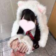 ヒメ日記 2025/11/15 12:06 投稿 桜井ダリア JKリフレ東京 秋葉原本店