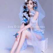 ヒメ日記 2025/06/14 23:04 投稿 イヴ エクセレントクラブ男爵