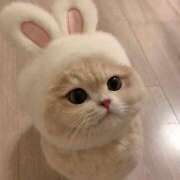 ヒメ日記 2024/12/20 20:54 投稿 りり アロマエステ アイウィッシュ