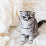 ヒメ日記 2024/12/26 16:54 投稿 りり アロマエステ アイウィッシュ