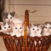 ヒメ日記 2025/03/14 20:44 投稿 りり アロマエステ アイウィッシュ