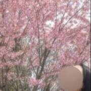 ヒメ日記 2025/03/25 09:26 投稿 りり アロマエステ アイウィッシュ