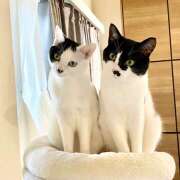 ヒメ日記 2025/03/26 07:52 投稿 りり アロマエステ アイウィッシュ