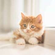 ヒメ日記 2025/09/26 19:56 投稿 りり アロマエステ アイウィッシュ