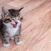 ヒメ日記 2025/10/15 23:06 投稿 りり アロマエステ アイウィッシュ