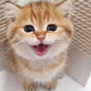 ヒメ日記 2025/10/21 09:30 投稿 りり アロマエステ アイウィッシュ