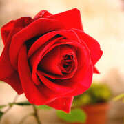 ヒメ日記 2026/01/28 18:54 投稿 りり アロマエステ アイウィッシュ