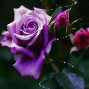 ヒメ日記 2026/01/28 18:58 投稿 りり アロマエステ アイウィッシュ