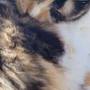 ヒメ日記 2024/12/12 15:09 投稿 おもち デリバリーヘルス熊本インターちゃんこ