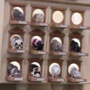 ヒメ日記 2026/02/24 18:11 投稿 桜咲ひびき ウルトラプラチナム