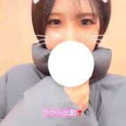 ヒメ日記 2025/01/20 16:04 投稿 白咲ふう デリス新宿