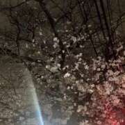 ヒメ日記 2025/04/02 17:04 投稿 白咲ふう デリス新宿